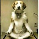 สมาชิกหมายเลข 1279060