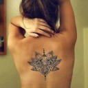 สมาชิกหมายเลข 2282537