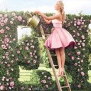 สมาชิกหมายเลข 3088290