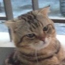 สมาชิกหมายเลข 1426671