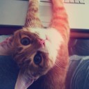 สมาชิกหมายเลข 2674175