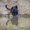 สมาชิกหมายเลข 3553479