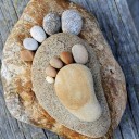 นกขายาว