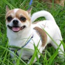 สมาชิกหมายเลข 1451353