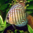 สมาชิกหมายเลข 2283136