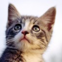 สมาชิกหมายเลข 2255571