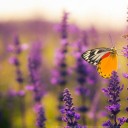 สมาชิกหมายเลข 997544