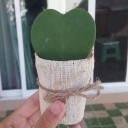 สมาชิกหมายเลข 2808880