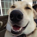 สมาชิกหมายเลข 3554398