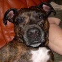 อยากกินแต่ทำไม่เป็น