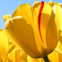 ห้วงน้ำ