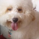 สมาชิกหมายเลข 895038