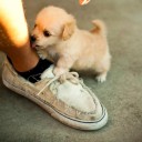 สมาชิกหมายเลข 1127916