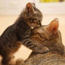 สมาชิกหมายเลข 1075280