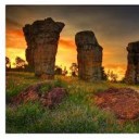 สมาชิกหมายเลข 1881372