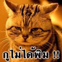 สมาชิกหมายเลข 2283953