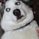 สมาชิกหมายเลข 2284227