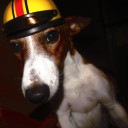 สมาชิกหมายเลข 3090451