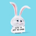 อั ก ษ ร ย่ อ