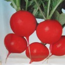 **ออกมาเที่ยว**