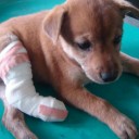 โลกนี้ยังคงน่ารักเสมอ