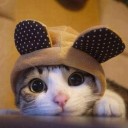 ผมมาจากทางช้างเผือก