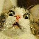 รักผันเปลี่ยนหมุนเวียนไปตามกาล