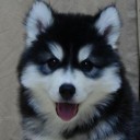 สมาชิกหมายเลข 1452644