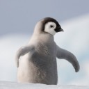 สมาชิกหมายเลข 1120308