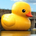 สมาชิกหมายเลข 3090755