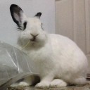 สมาชิกหมายเลข 2590155