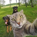 สมาชิกหมายเลข 3555153