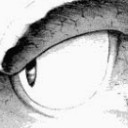 ฟักแฟงแตงไทย