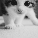 สมาชิกหมายเลข 2578751