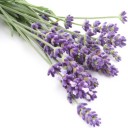 สมาชิกหมายเลข 2608486