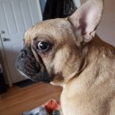 สมาชิกหมายเลข 2329425