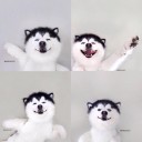 สมาชิกหมายเลข 3537910