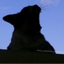 ขอโทษนะคร้าบ ขอแจมด้วยคน