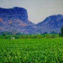 สมาชิกหมายเลข 1380844