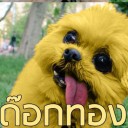 สมาชิกหมายเลข 3556639
