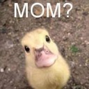 เจ้าปรางเพื่อนยาก