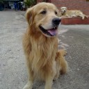 สมาชิกหมายเลข 750111