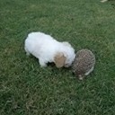 สมาชิกหมายเลข 975439