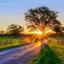 สมาชิกหมายเลข 2676976