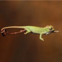 สมาชิกหมายเลข 1216679