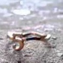 สมาชิกหมายเลข 3092507