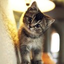 สมาชิกหมายเลข 3557425