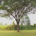 สมาชิกหมายเลข 1883732