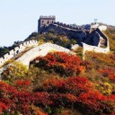 สมาชิกหมายเลข 3091353