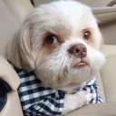 สมาชิกหมายเลข 2633342